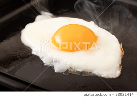 Fried egg Fried egg 88021414