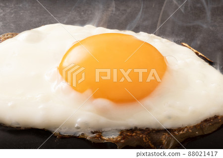Fried egg 88021417