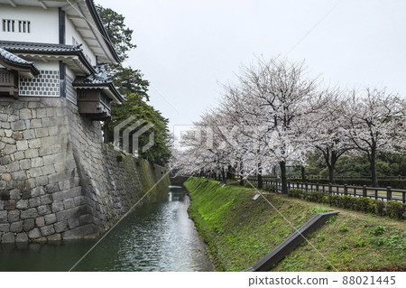 春天金澤城公園內堀 春天金澤城公園內堀 88021445