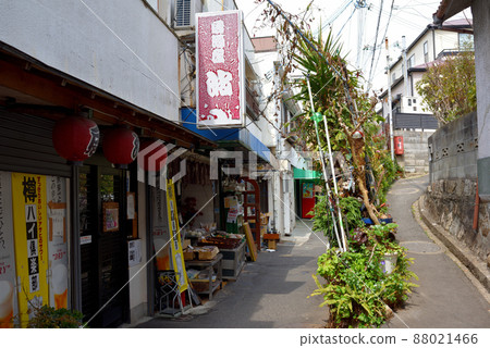 兵庫縣垂海區鹽谷的一條小商店街 兵庫縣垂海區鹽谷的一條小商店街 88021466