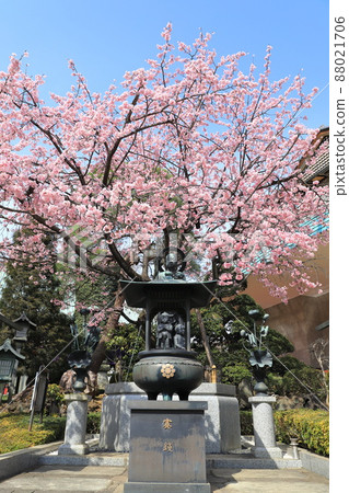 Mitsuzoin Gallery旁邊的Mizukake Fudoson(埼玉縣川口市Angyohara) Mitsuzoin Gallery旁邊的Mizukake Fudoson(埼玉縣川口市Angyohara) 88021706