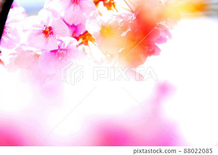 Spring Spring 88022085