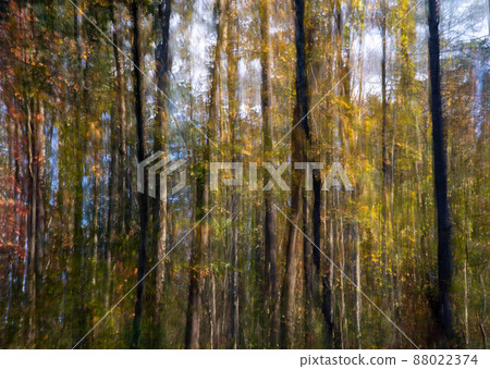 Abstract impressionist woodland nature background and blue sky Abstract impressionist woodland nature background and blue sky 88022374