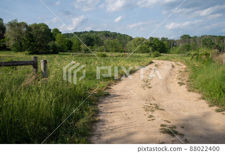 Idyllic tranquil country dirt road winds through lush green meadow Idyllic tranquil country dirt road winds through lush green meadow 88022400