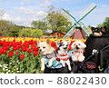 Tulip fields and chopsticks 88022430