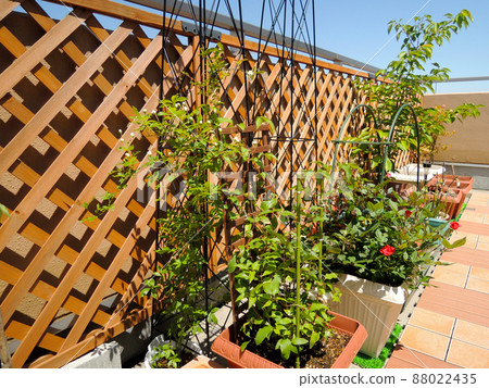 在屋頂陽台上DIY一個美好的空間，每天的奢華時光 88022435