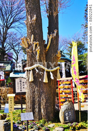 川越八幡宮 88022841