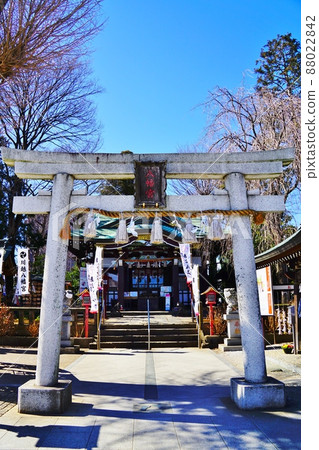 川越八幡宮 88022842