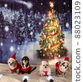 Christmas tree and dog 88023109