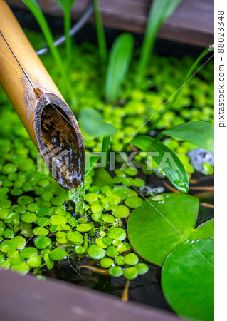 Japanese Tsukuba Japanese-style image 88023348