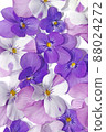 Purple viola background material 88024272