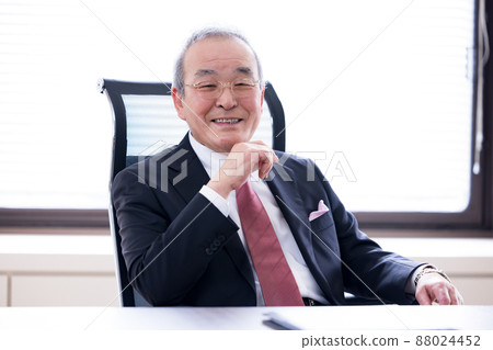 Portrait of a business executive 88024452