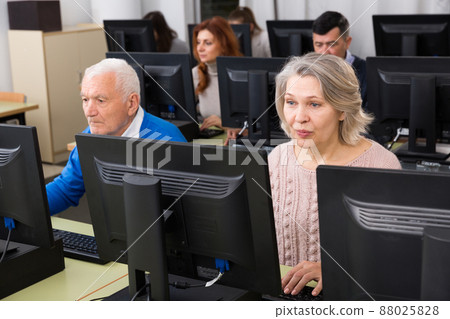 Young and mature men and women coworkers sitting, working on computers 88025828