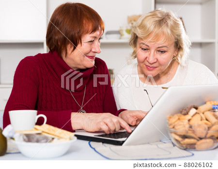 couple of mature females with notebook couple of mature females with notebook 88026102