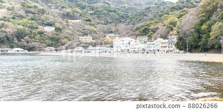 “大瀨崎”伊豆半島沼津市靜岡縣 88026266