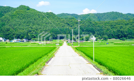 國家景觀在夏天 88026646