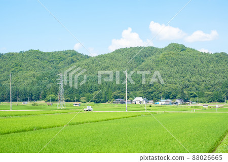 Country landscape in summer Country landscape in summer 88026665