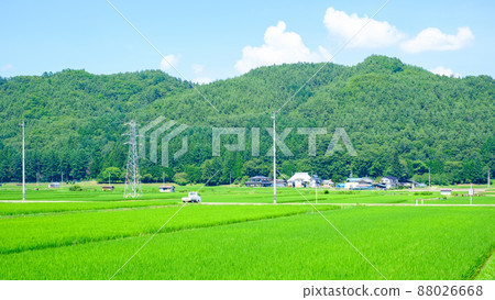 Country landscape in summer 88026668