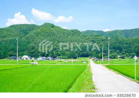 Country landscape in summer Country landscape in summer 88026670