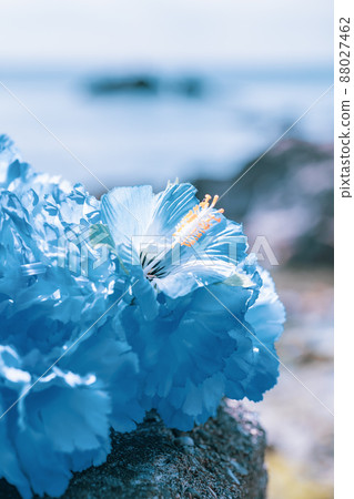 Hawaiian lei blue blue flower lei overseas travel aloha outside travel Hawaiian lei blue blue flower lei overseas travel aloha outside travel 88027462