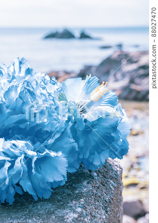 Hawaiian lei blue blue flower lei overseas travel aloha outside travel Hawaiian lei blue blue flower lei overseas travel aloha outside travel 88027470