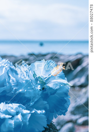 夏威夷花環藍藍花花環海外旅遊阿羅哈戶外旅遊 88027478