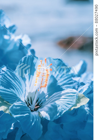 夏威夷花環藍藍花花環海外旅遊阿羅哈戶外旅遊 夏威夷花環藍藍花花環海外旅遊阿羅哈戶外旅遊 88027490