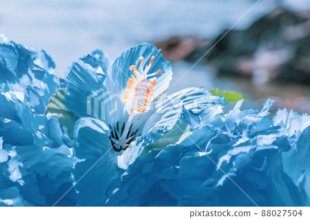 Hawaiian lei blue blue flower lei overseas travel aloha outside travel Hawaiian lei blue blue flower lei overseas travel aloha outside travel 88027504