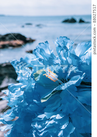 Hawaiian lei blue blue flower lei overseas travel aloha outside travel 88027517