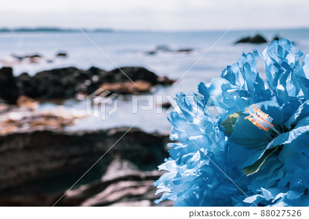 Hawaiian lei blue blue flower lei overseas travel aloha outside travel Hawaiian lei blue blue flower lei overseas travel aloha outside travel 88027526