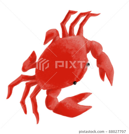 Illustration of cute red crab in pastel style Illustration of cute red crab in pastel style 88027707