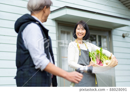 Senior couple kitchen garden 88028091