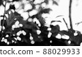 Monochrome Spider 01 Monochrome Spider 01 88029933