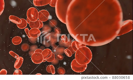 Blood circulatory system.Red blood cells. Blood circulatory system.Red blood cells. 88030658