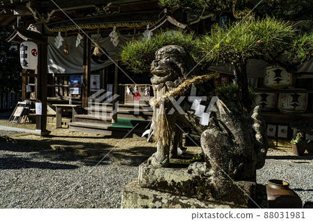 Tamao Shrine 88031981