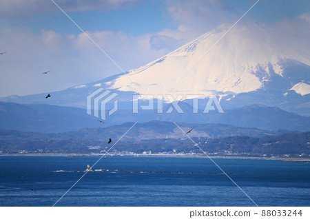 神奈川縣茅崎市羽場岩和富士山 神奈川縣茅崎市羽場岩和富士山 88033244