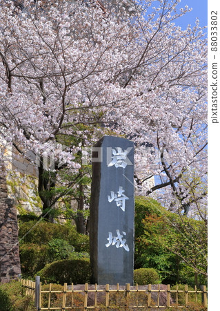 櫻花城(愛知縣日新市岩崎城) 櫻花城(愛知縣日新市岩崎城) 88033802