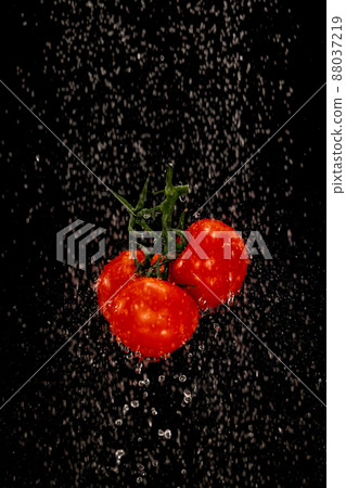 A bunch of red tomato vegetables on a black background under water splashes A bunch of red tomato vegetables on a black background under water splashes 88037219