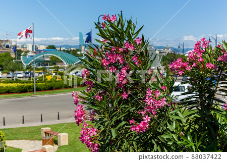 Old buildings in the old city in Tbilisi Old buildings in the old city in Tbilisi 88037422