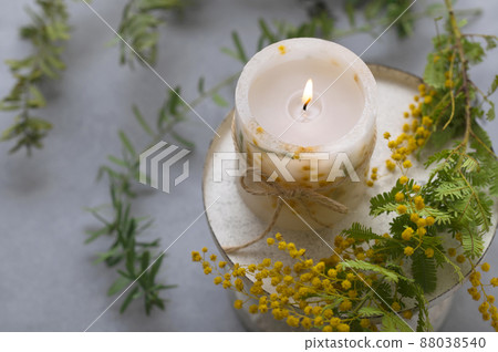 Mimosa candles Botanical candles Mimosa candles Botanical candles 88038540