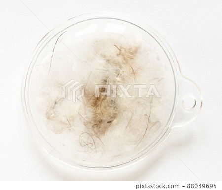 sample puffer jacket padding from down and feather 88039695