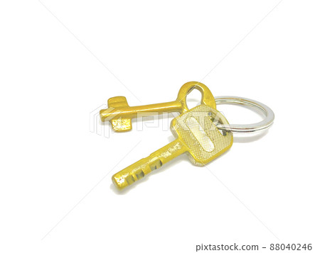 2 types of golden key in the ring with with background. 88040246