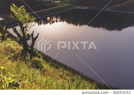200513 Urisu rice planting 065 88041032