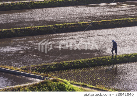 200513 Urisu rice planting 054 88041040