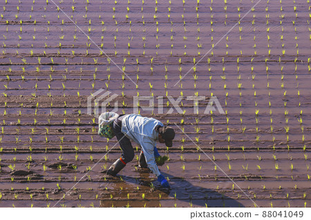 200513 Urisu 水稻種植 038 88041049