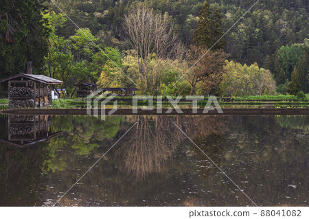 200511 稻田水鏡066 88041082