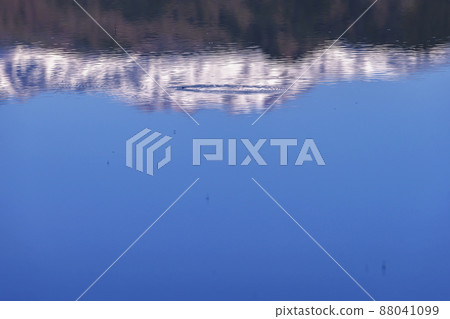 200511 稻田水鏡024 88041099