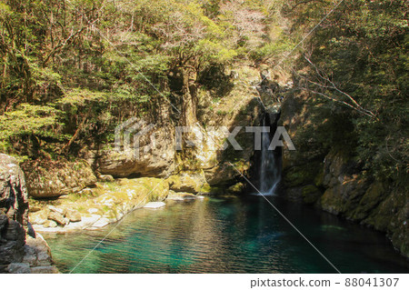Scenery of Nikobuchi, Ino Town, Kochi Prefecture 88041307