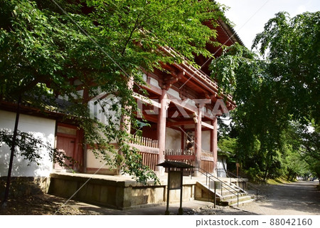 西大門(Niomon),新鮮的綠色植物和通往京都伏見區醍醐寺的方法 西大門(Niomon),新鮮的綠色植物和通往京都伏見區醍醐寺的方法 88042160