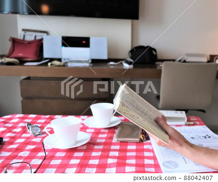 Reading at the hotel 88042407